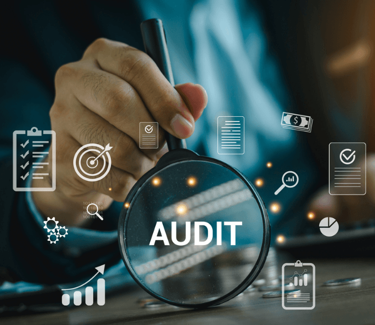 Audit Services